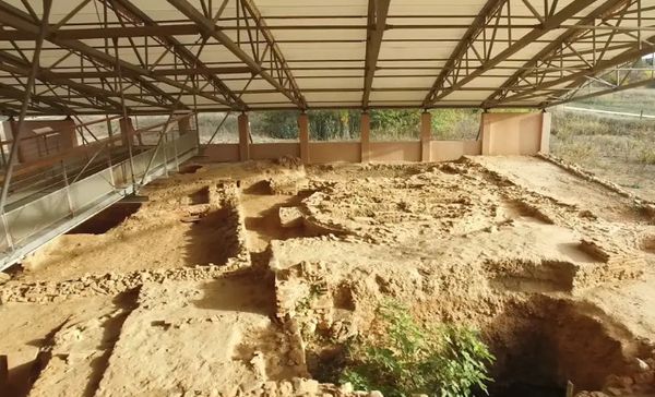 Amphoralis