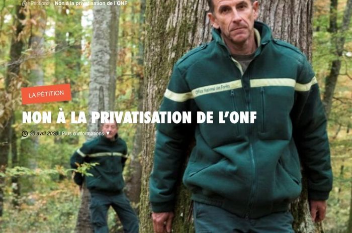(pétition) NON À LA PRIVATISATION DE L’ONF