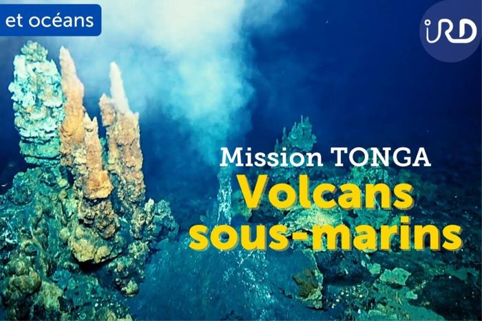 Projection gratuite du documentaire suivie d’une rencontre avec un membre de l’équipe du film ou un chercheur.