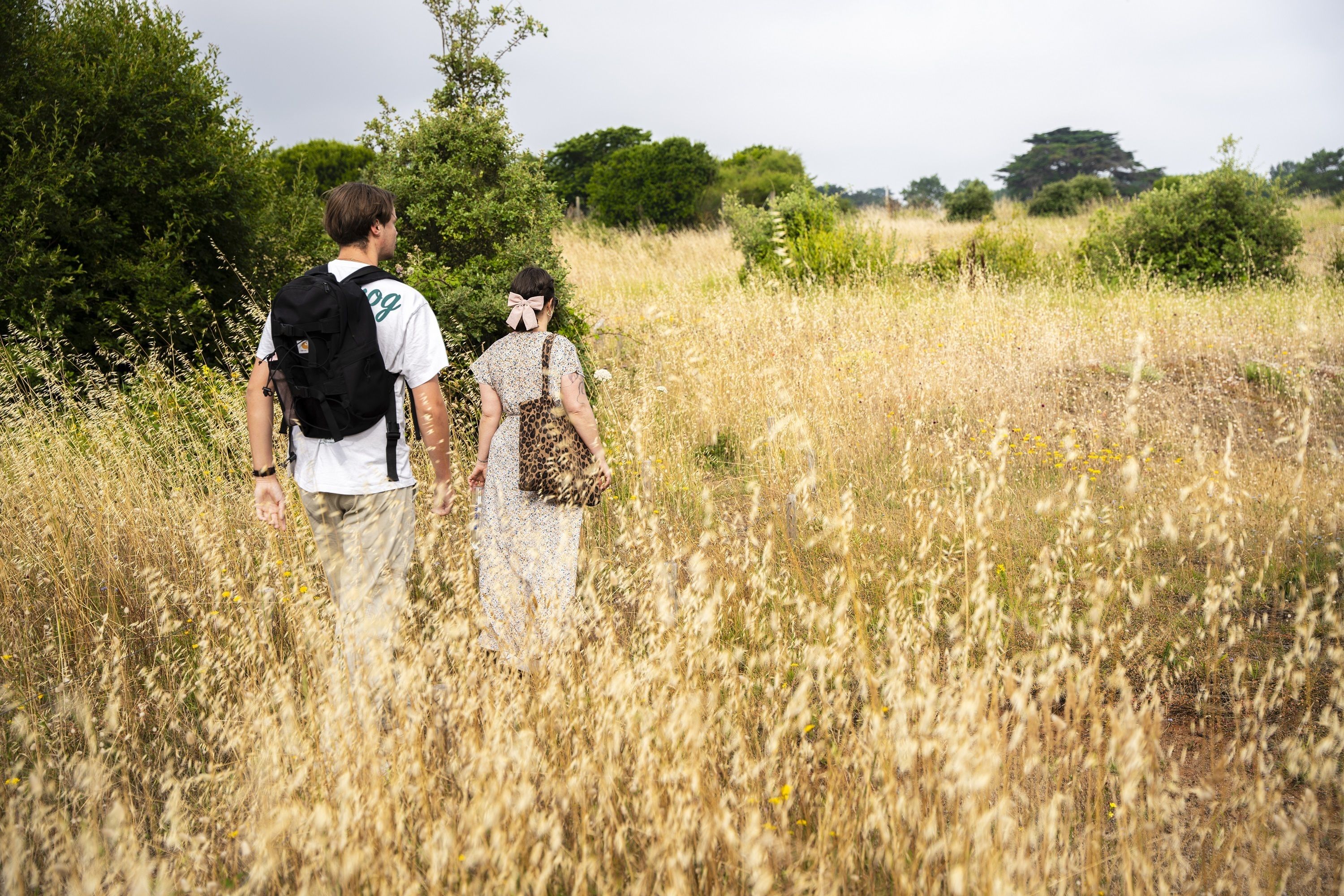 Balade Nature - Les dunes