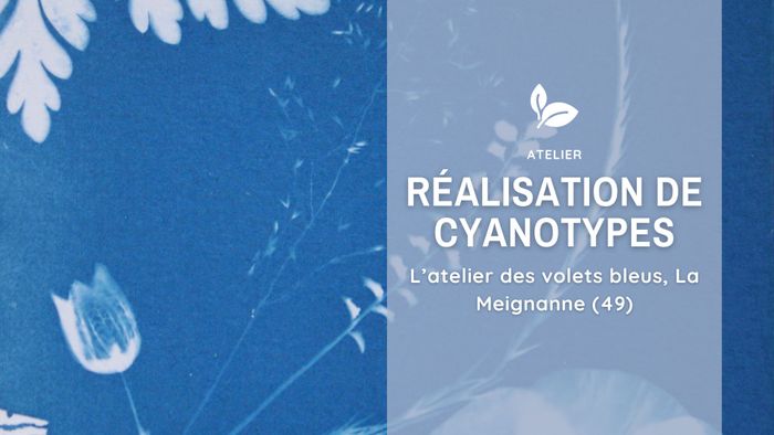 Réalisation de cyanotype