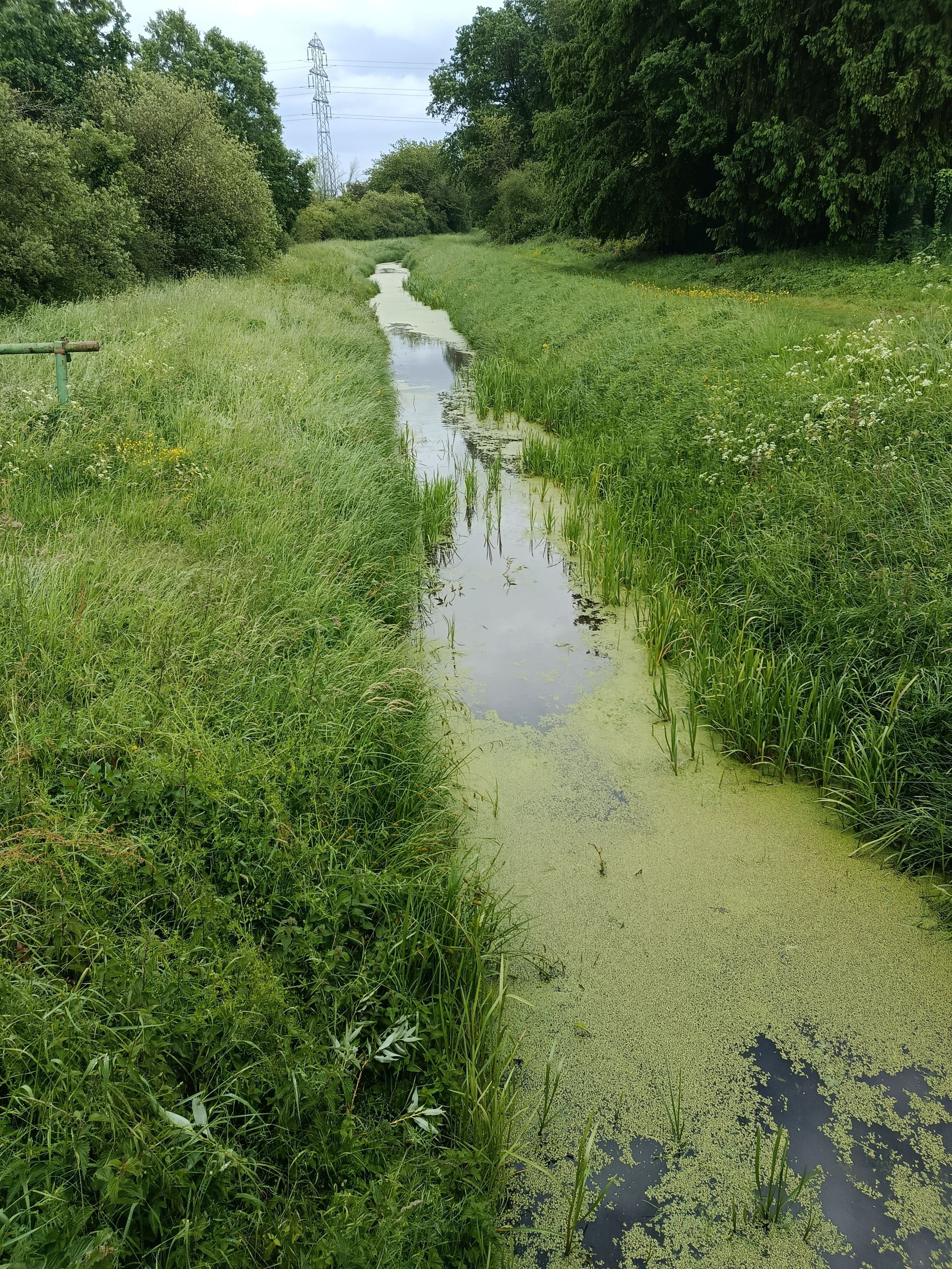 Balade au fil de l'eau à Coignières
