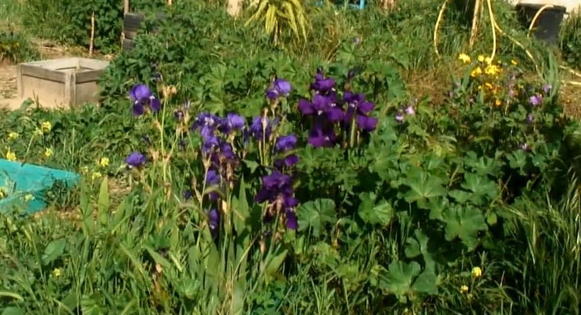 Atelier jardinage : Boutures et bouquins