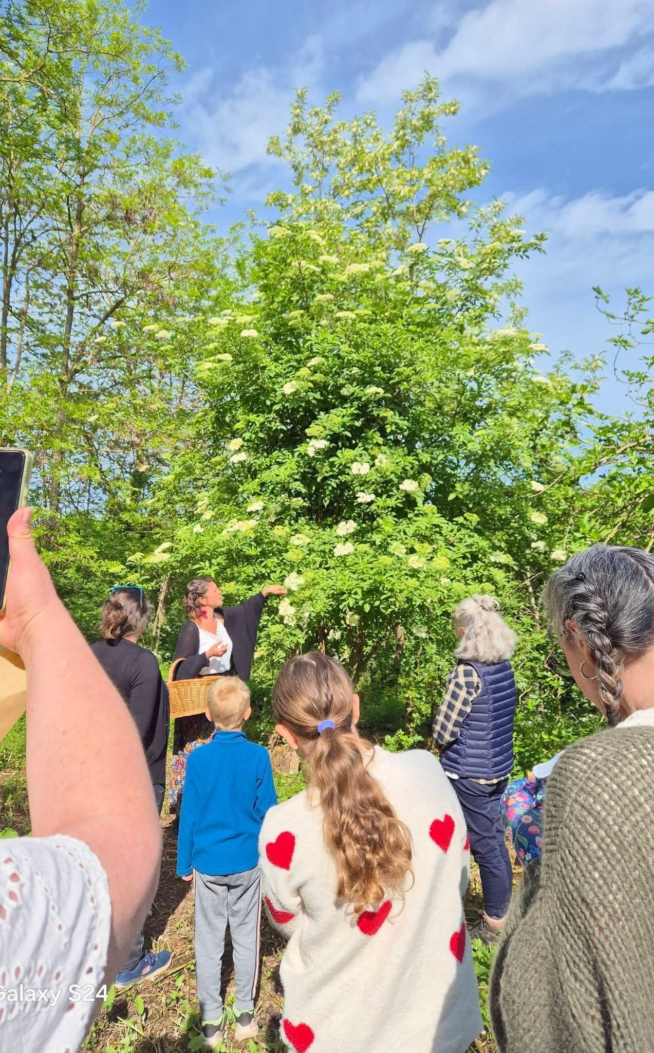 Identification and Foraging of Edible Plants
