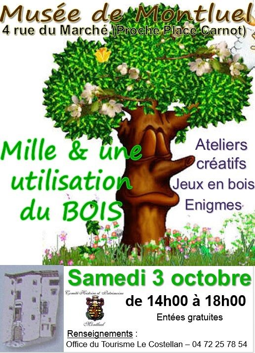 Les mille et une utilisations du bois