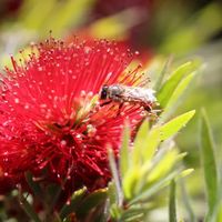 Rendez-vous aux jardins “la vue” - Conférence
