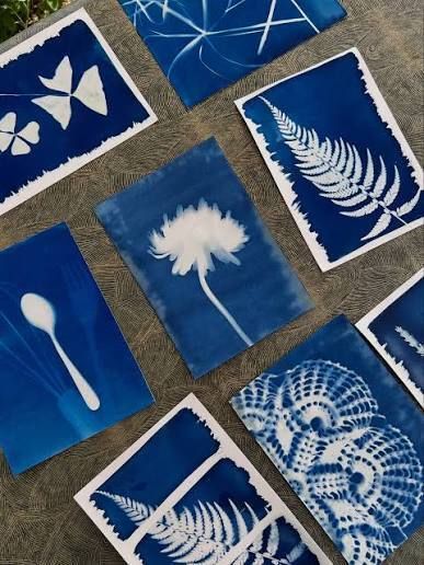 Atelier initiation au Cyanotype