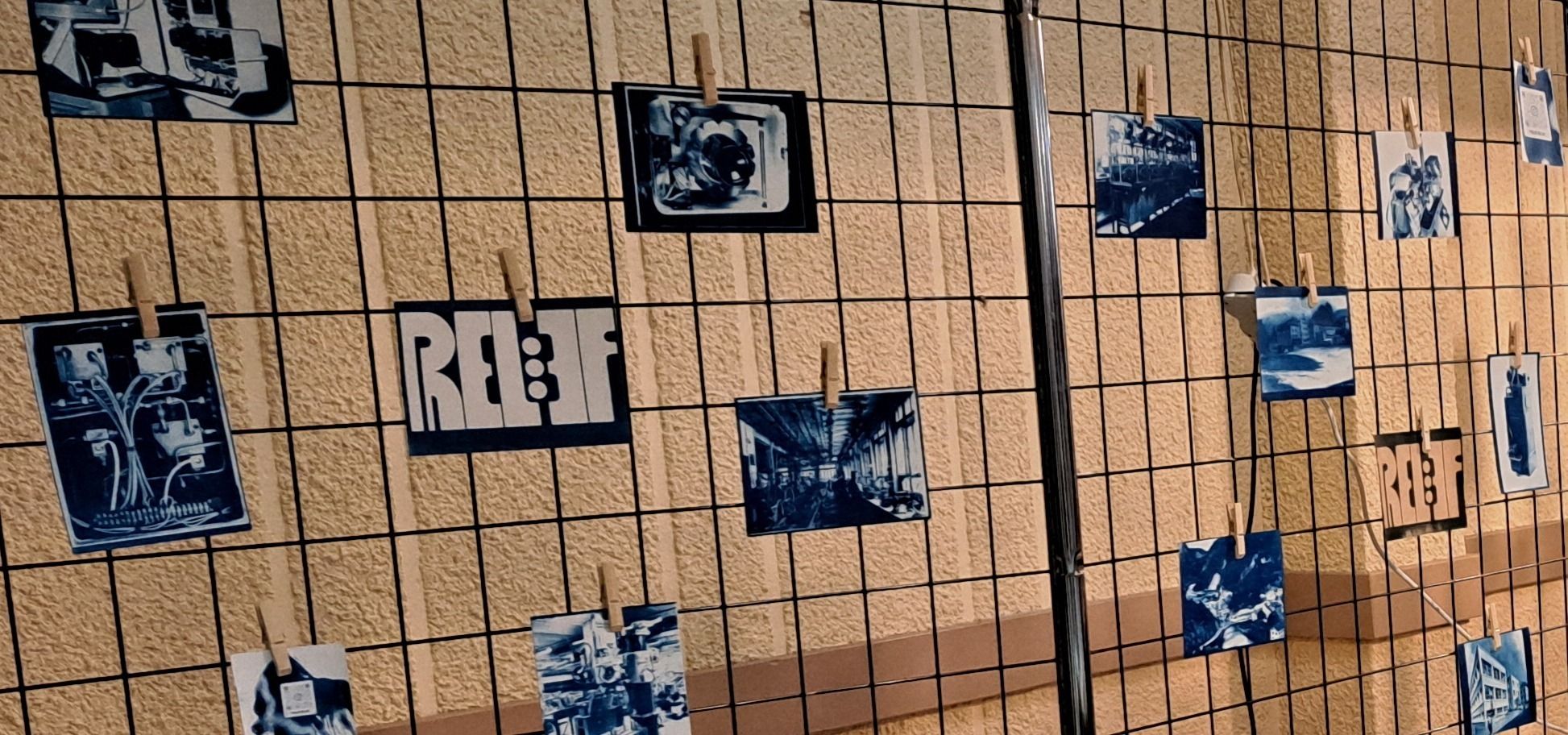 À LA DÉCOUVERTE DU CYANOTYPE