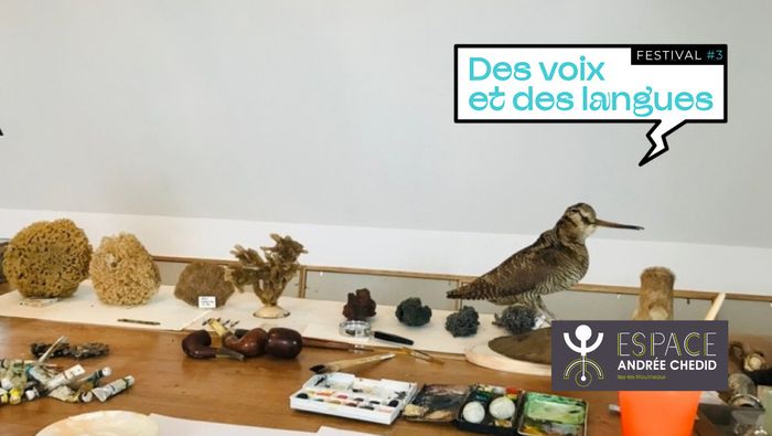 Exposition : Papoter, Pipeauter