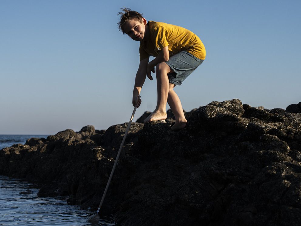 Initiation à la pêche à pied