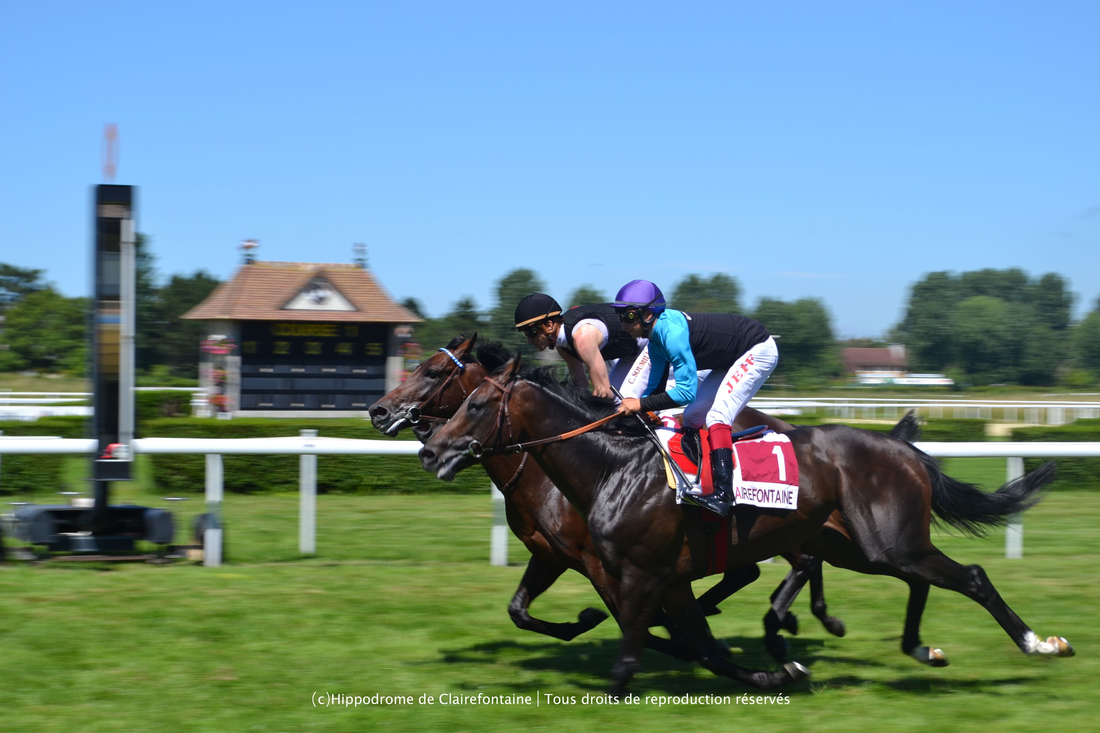 Courses de galop à l'hippodrome de Clairefontaine