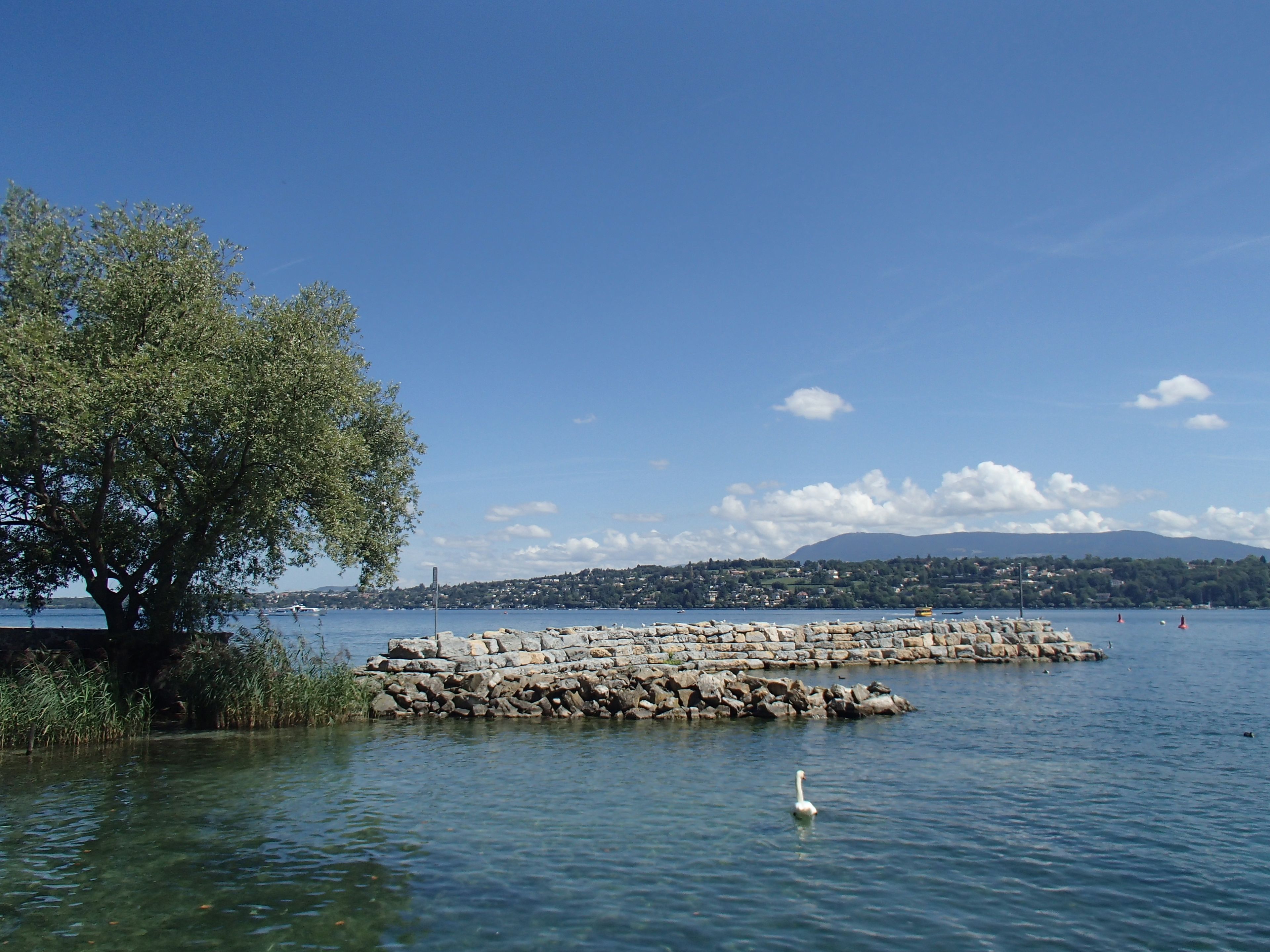 Lecture du paysage et histoire du Léman en balade au bord du lac