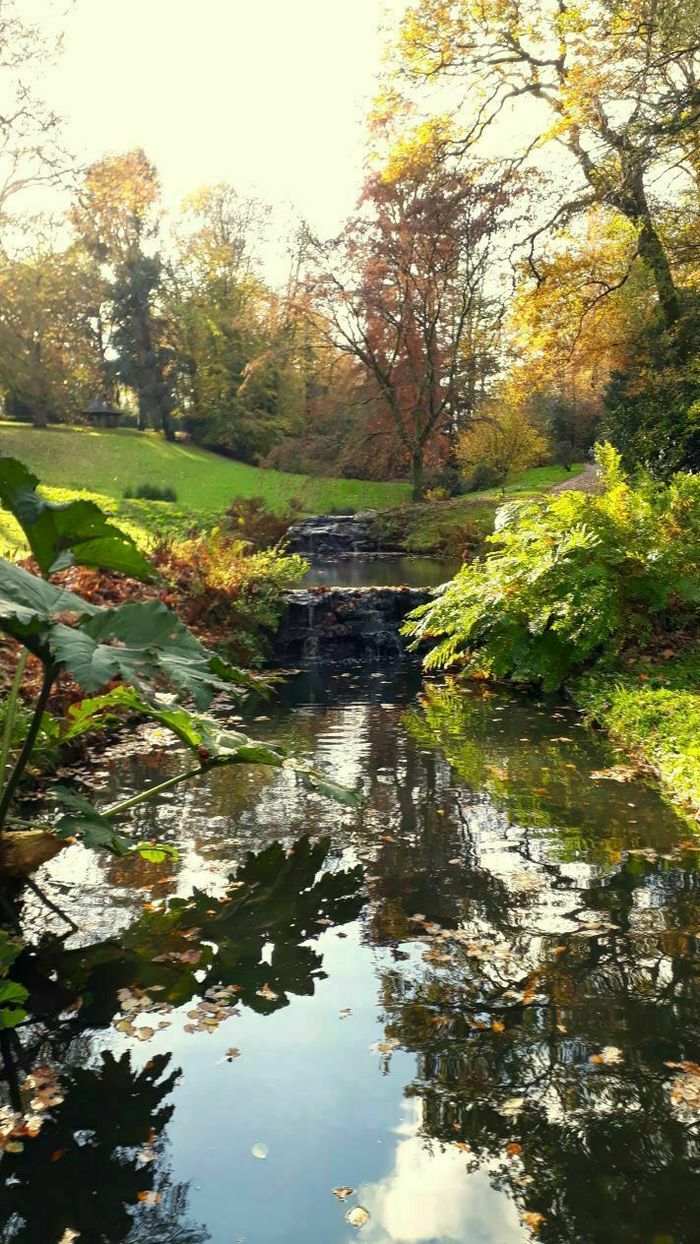Le parc de la Gaudinière au rythme de l'automne