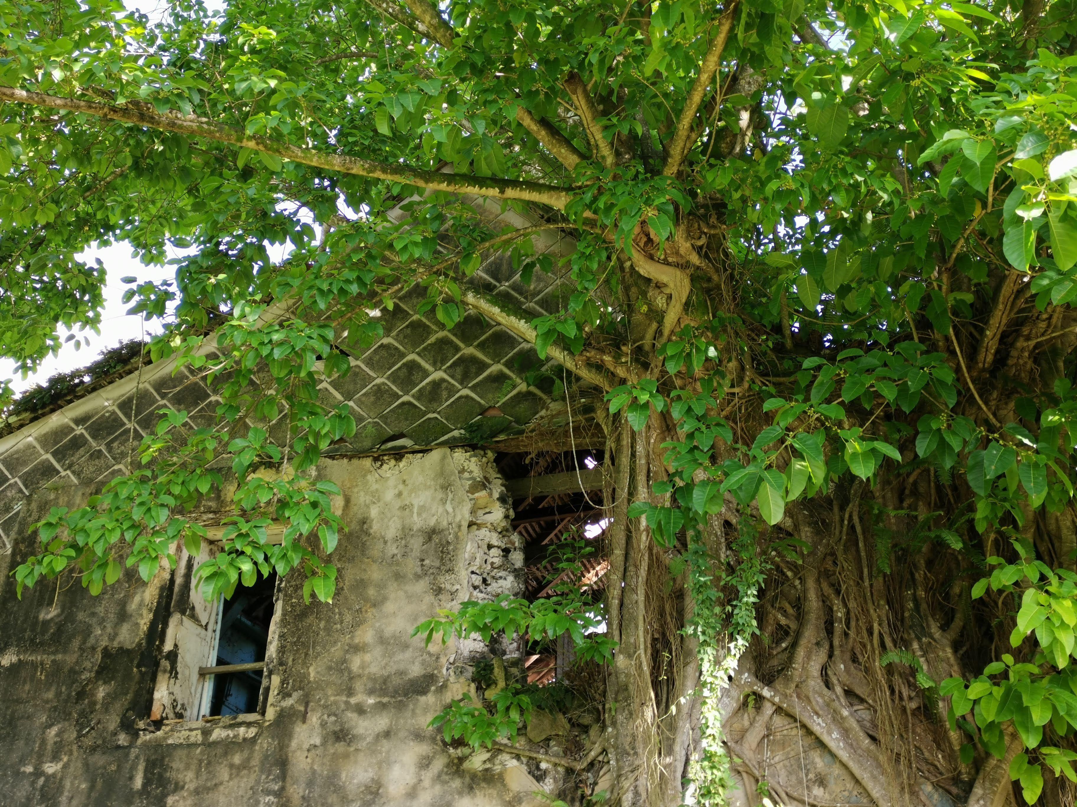 VISITE COMMENTÉE DE L'HABITATION DUFFERET