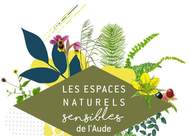 Le spiranthe de l'automne sera-t-il au rendez-vous? - ens