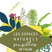 Le spiranthe de l'automne sera-t-il au rendez-vous? - ens
