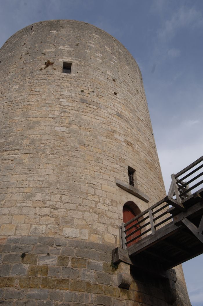 Visite commentée du château