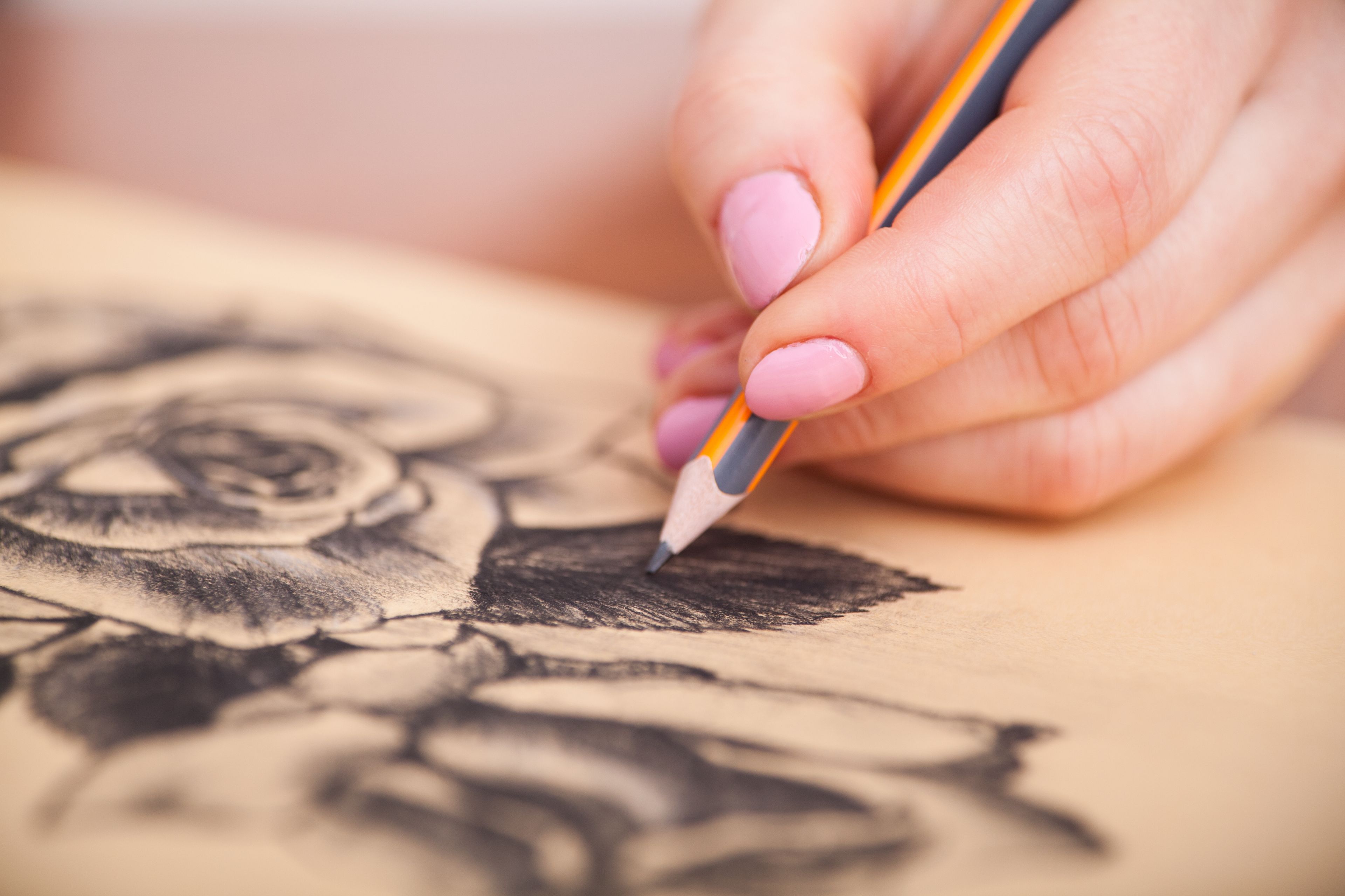 Atelier de dessin : initiation