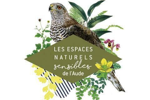 Balade : L’île du Lacus Rubresus
