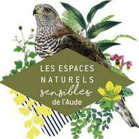 Balade : L’île du Lacus Rubresus