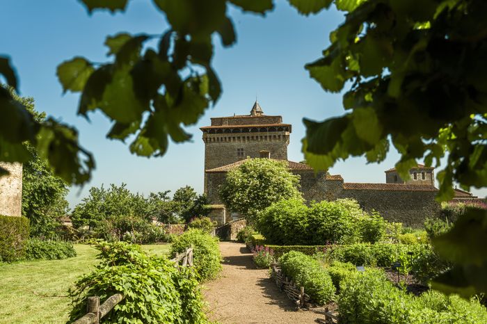 Visite du donjon, jardin et musée