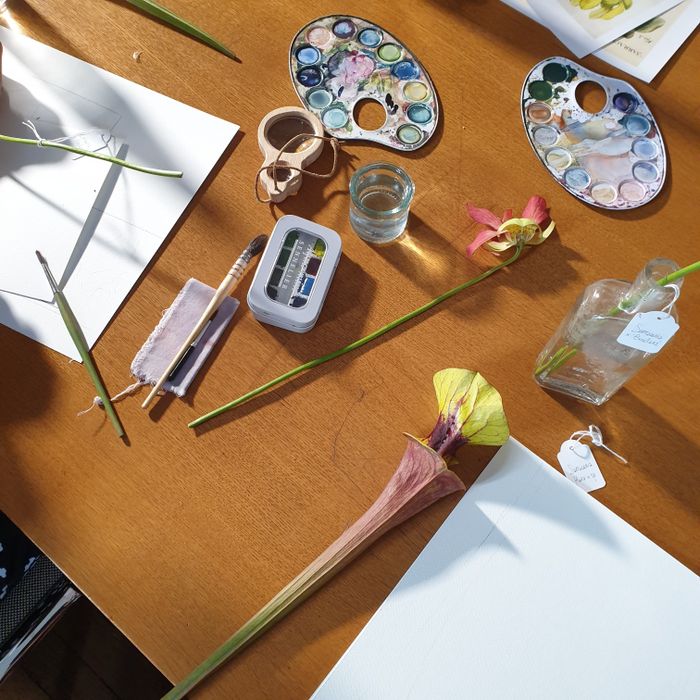 Atelier d’illustration botanique
