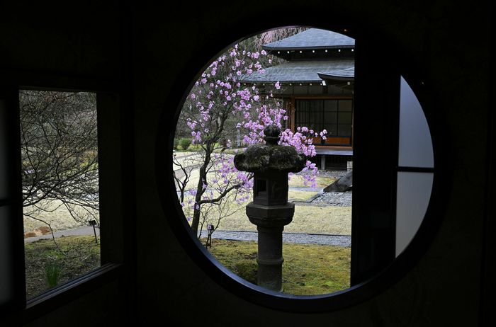 Atelier de dégustation à la découverte du thé vert japonais (sencha)