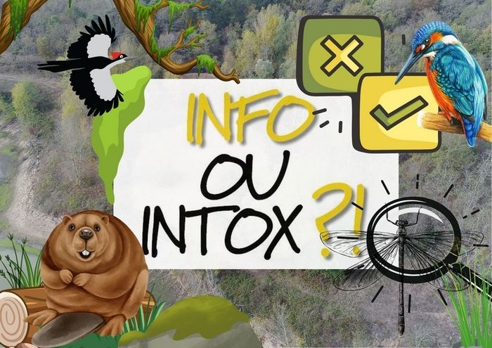 Arrière plan flou de l'image