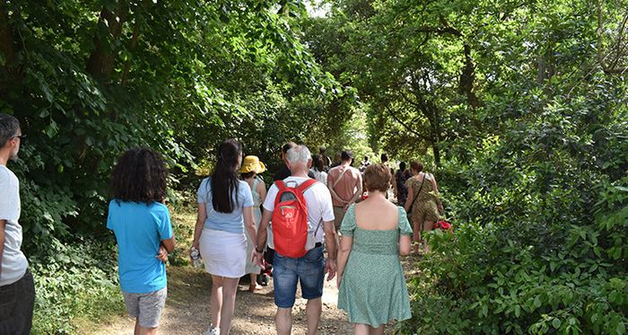 Promenades « À l’ombre des arbres »