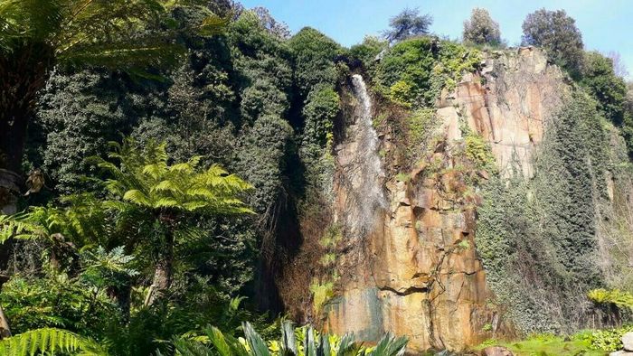 « Le voyage des plantes », balade botanique et historique