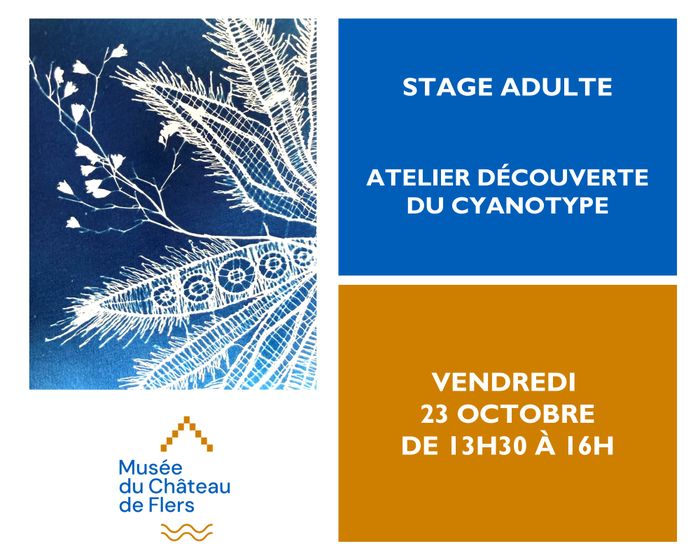 Stage adulte : Atelier découverte du cyanotype