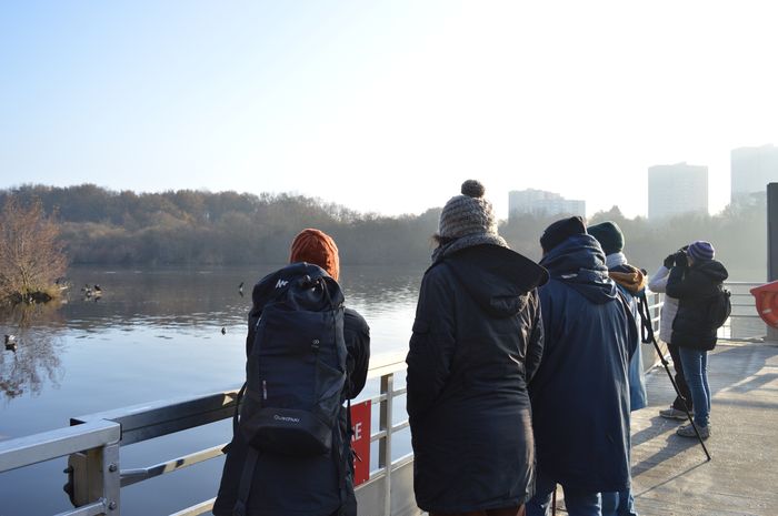 Balade ornithologique au lever de soleil sur les bords de l’Erdre