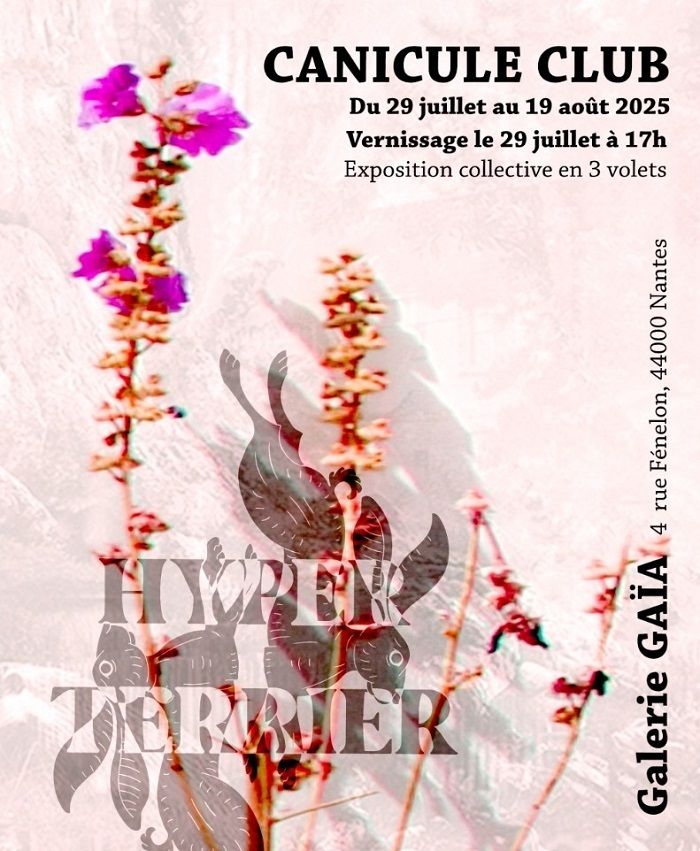 Canicule Club, exposition collective à la Galerie Gaïa