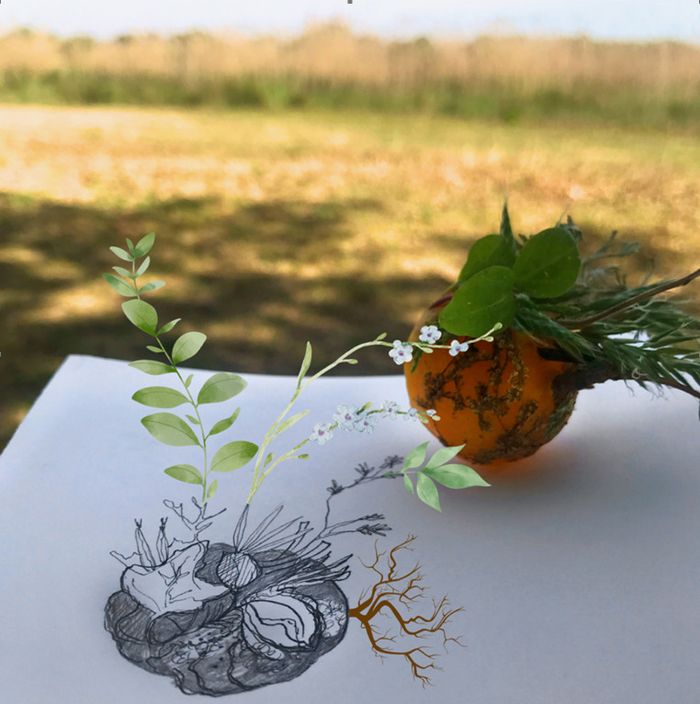 Balade artistique : Graine printanière