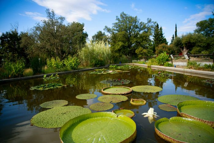 Visite Arboretum et ses secrets