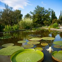 Visite Arboretum et ses secrets