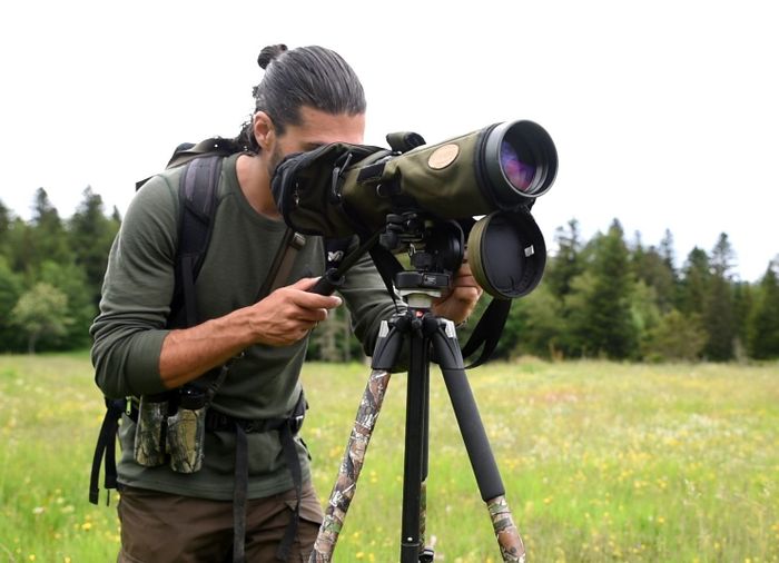 Sortie Ornithologique journée