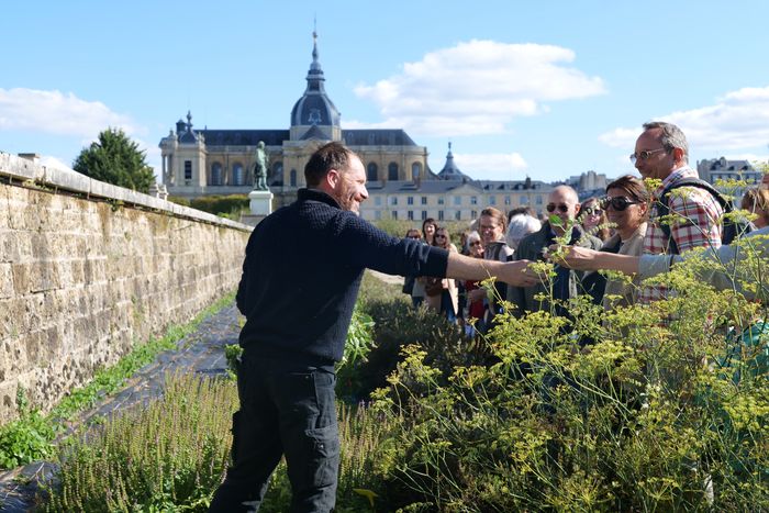 La découverte d’un jardin remarquable aux multiples facettes. Certains dimanches de mai à octobre, vous pouvez venir découvrir le Potager du Roi, son histoire et son évolution à travers les siècles.