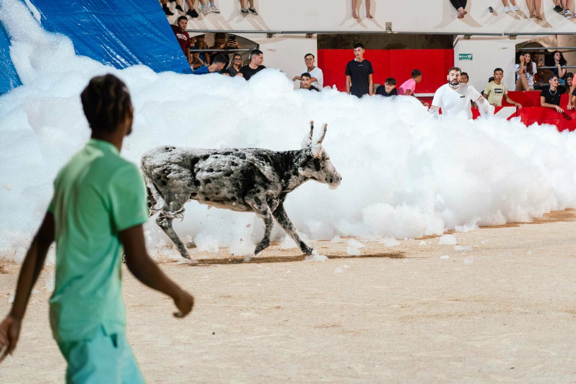 Toro mousse
