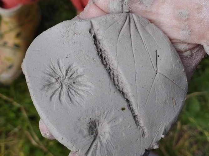 Balade nature en famille : activités manuelles dans la nature