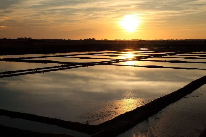 Visite des marais salants de Kervilhen
