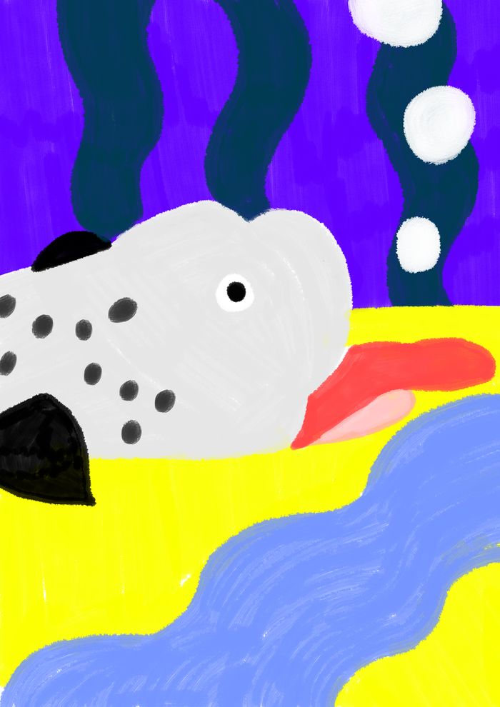 2fa3ce2b2fc84ac5832645e5dad3ad02.base.image.jpg