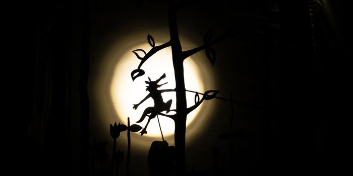 Un sommeil de Loup Cie Au Petit Théâtre d’Ombres