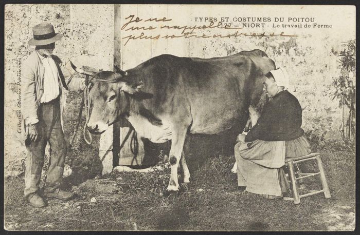 Visites libres et commentées - Exposition : L’histoire est dans le pré. Mutations de l’agriculture dans les Deux-Sèvres au XXe siècle