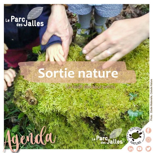 "Forêt des petits et tout-petits"