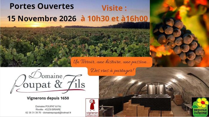 Arrière plan flou de l'image