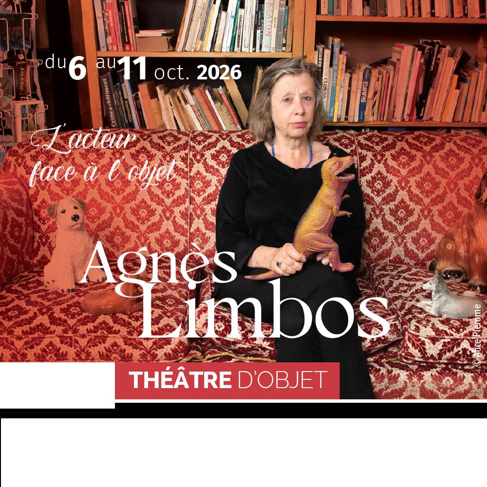 Le théâtre d'objet : stage d'Agnès Limbos