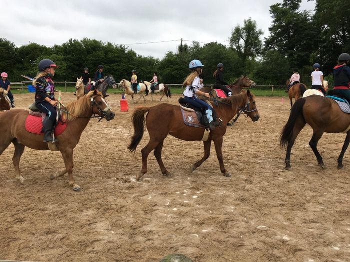 Baptême de poney en musique à la Ferme Equestre Les six Chemins