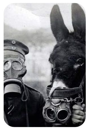 LES ANIMAUX DANS LA GUERRE