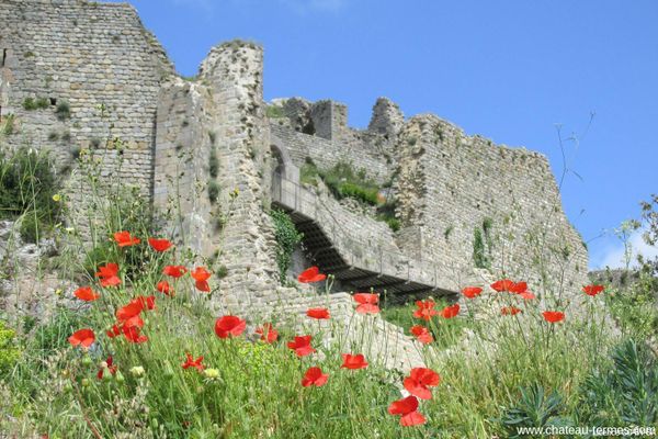 Château de Termes